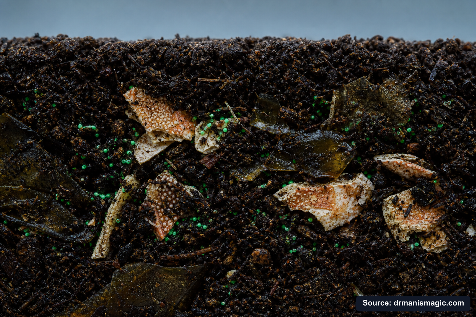 Organic fertilizer feeding soil microbes around plant roots