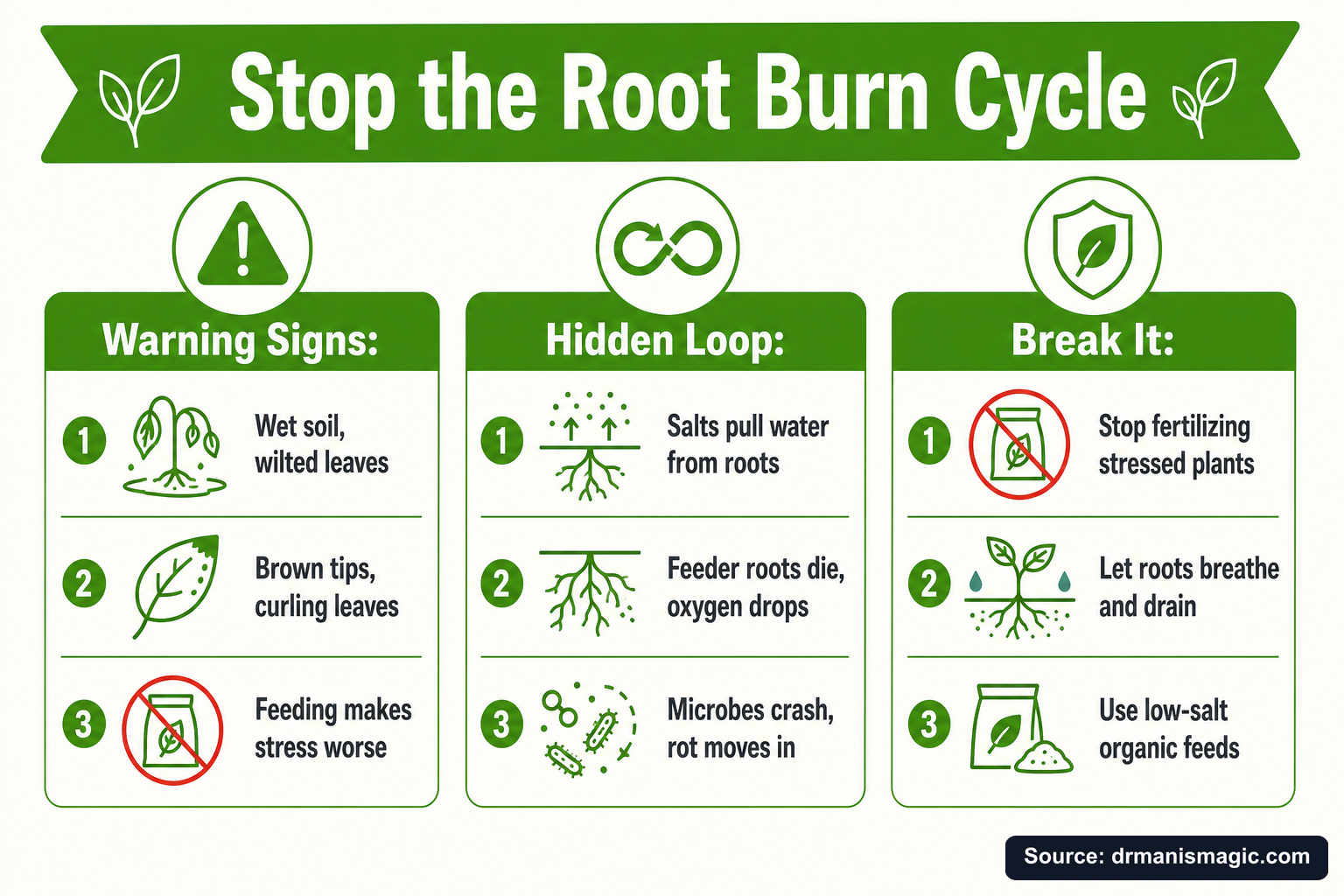 Stop the Root Burn Cycle infographic