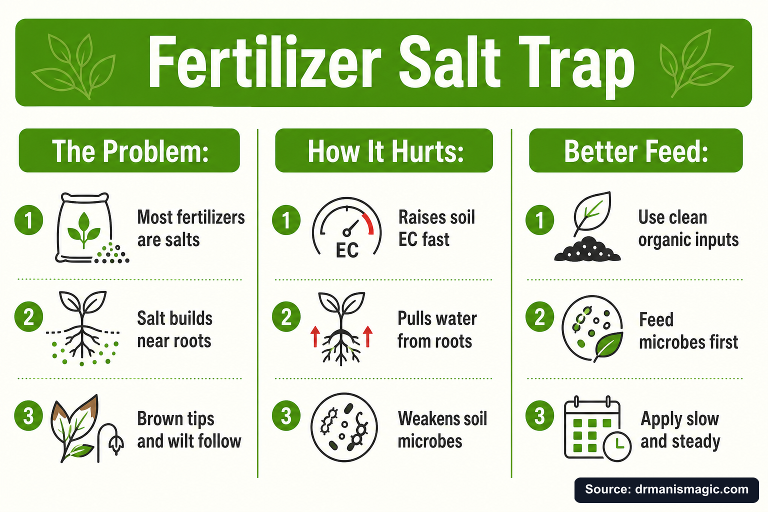 Fertilizer Salt Trap infographic