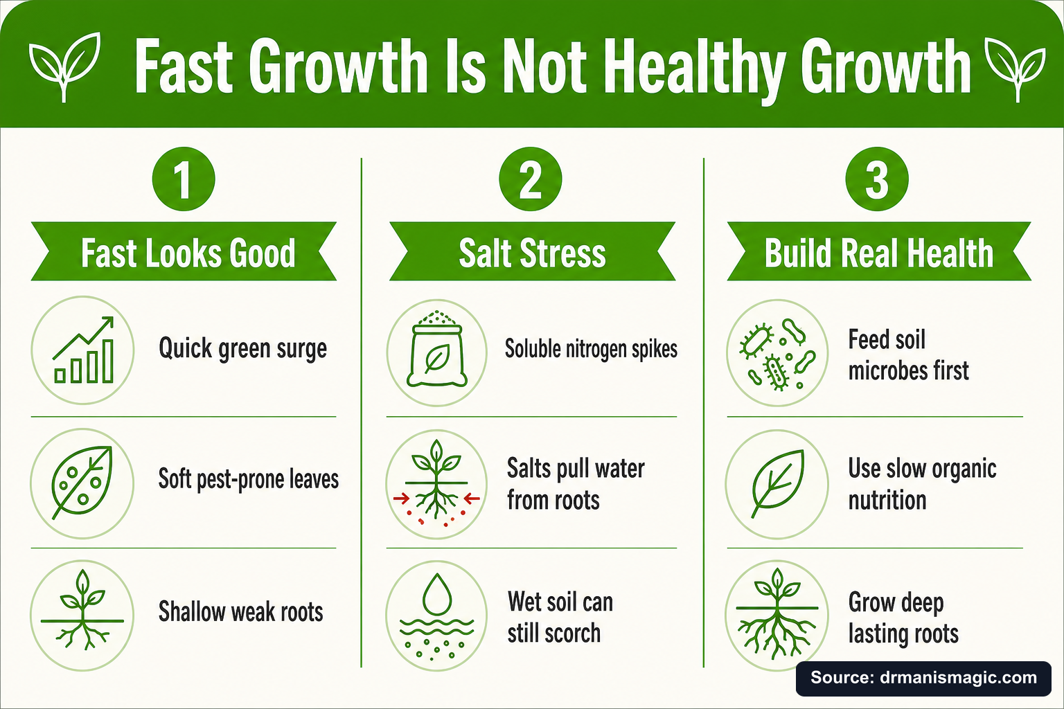 Fast Growth Is Not Healthy Growth infographic