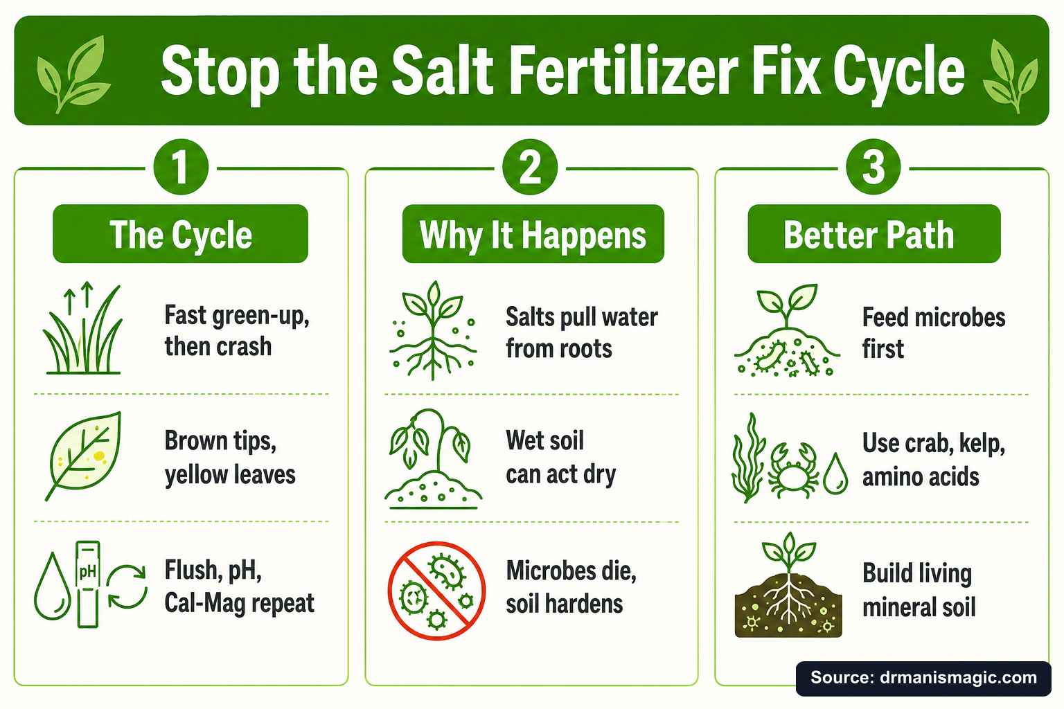 Stop the Salt Fertilizer Fix Cycle infographic