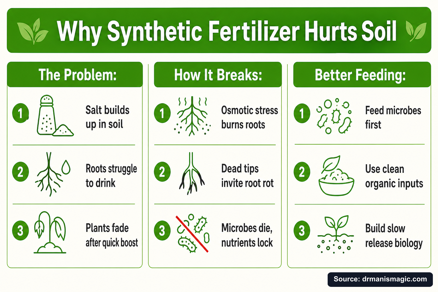 Why Synthetic Fertilizer Hurts Soil infographic