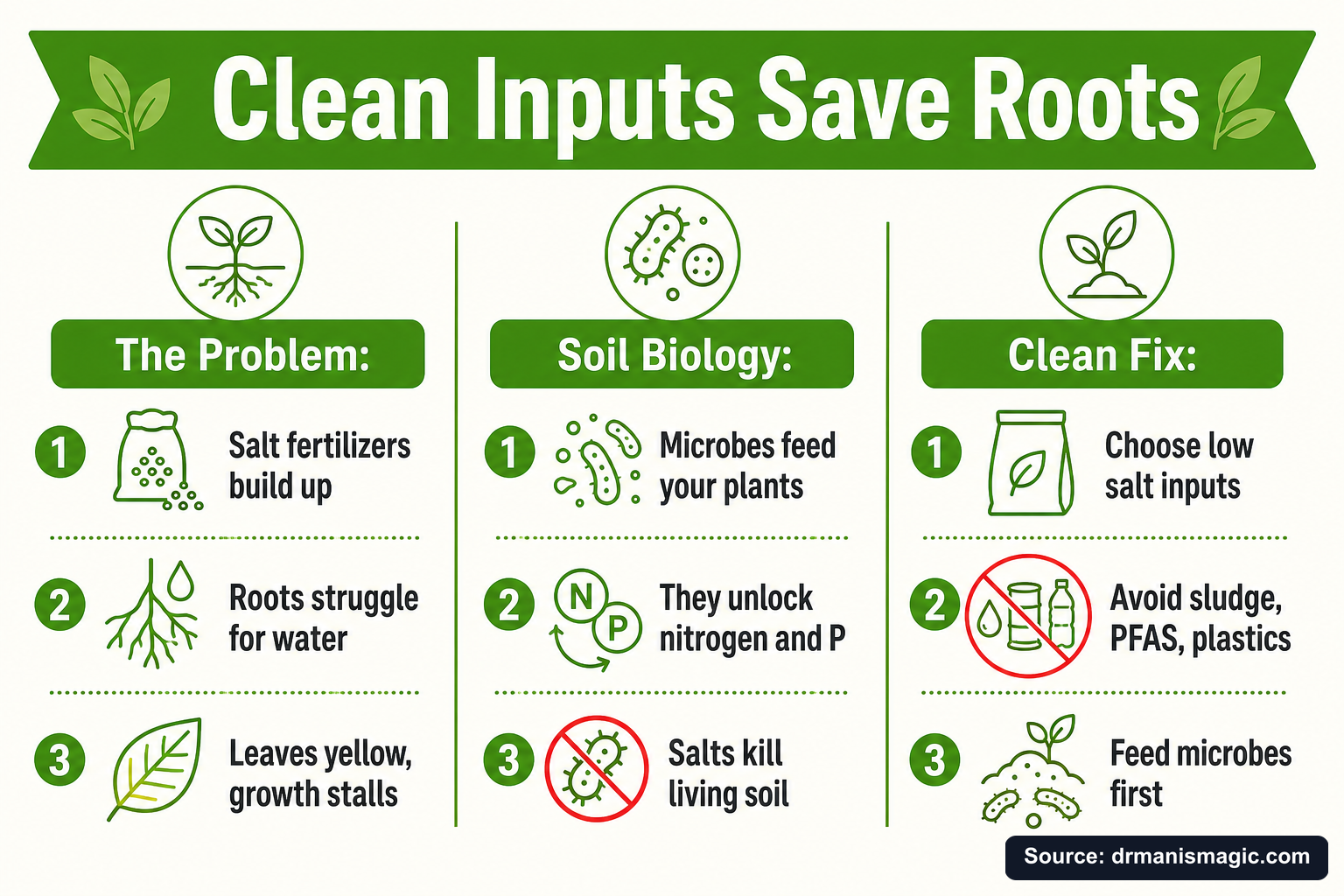 Clean Inputs Save Roots infographic