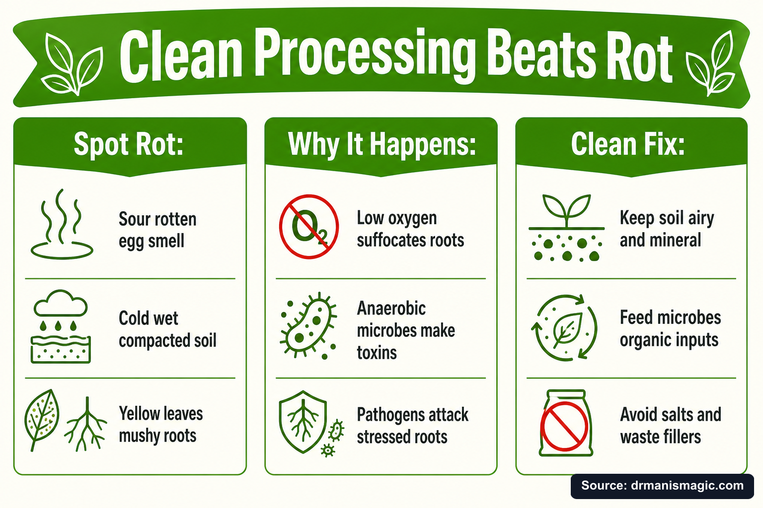 Clean Processing Beats Rot infographic