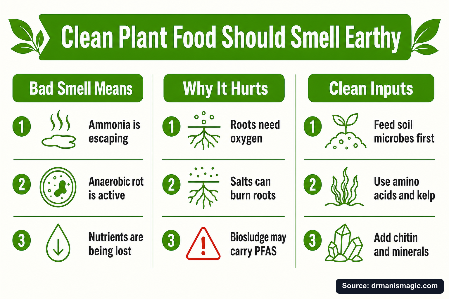 Clean Plant Food Should Smell Earthy infographic