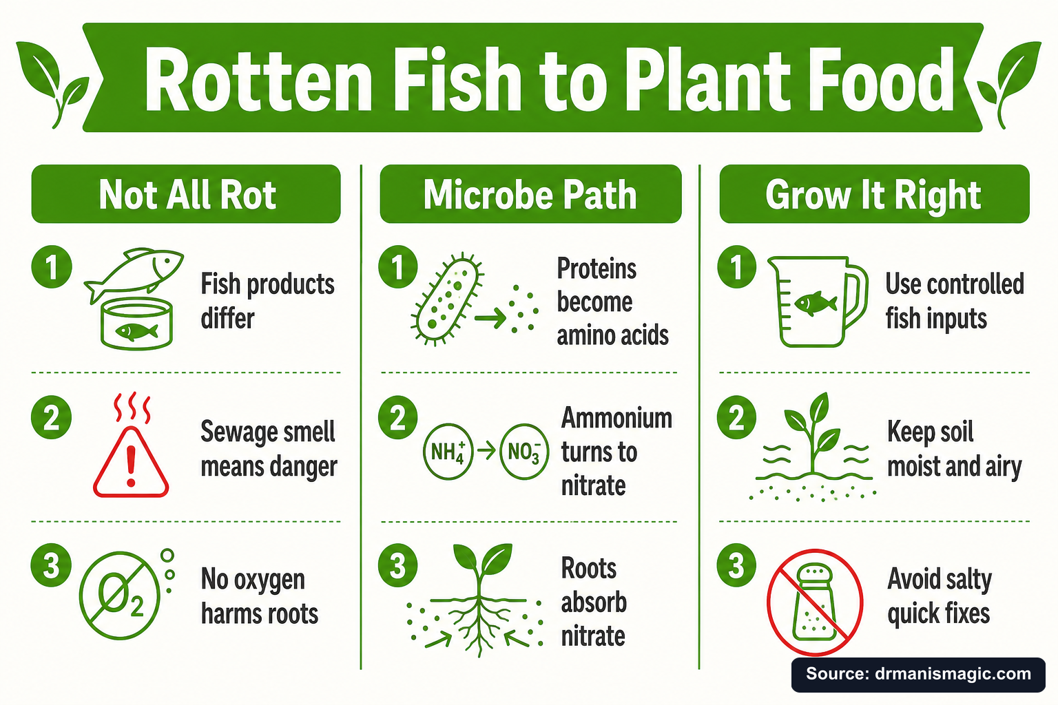 Rotten Fish to Plant Food infographic