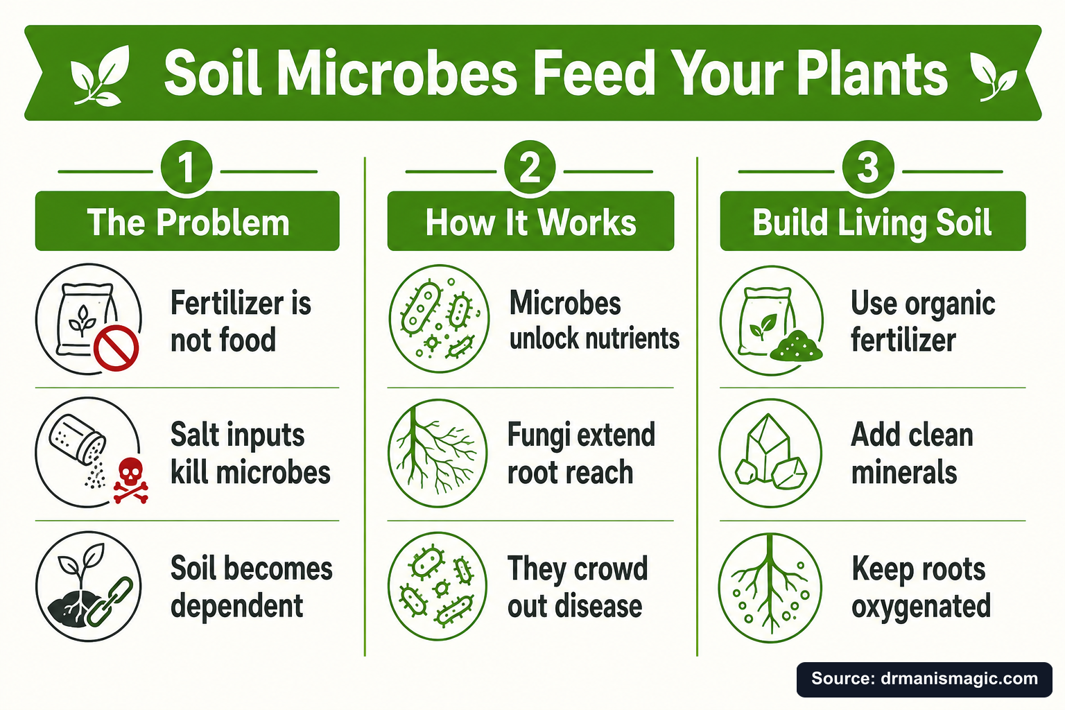 Soil Microbes Feed Your Plants infographic