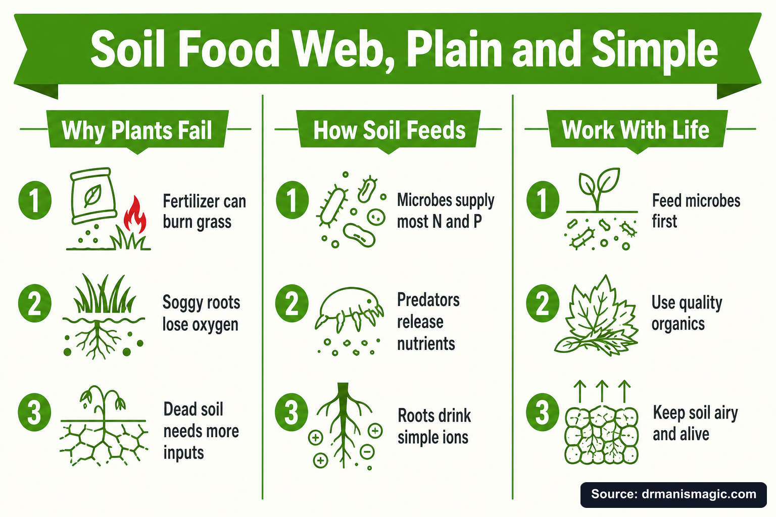 Soil Food Web, Plain and Simple infographic