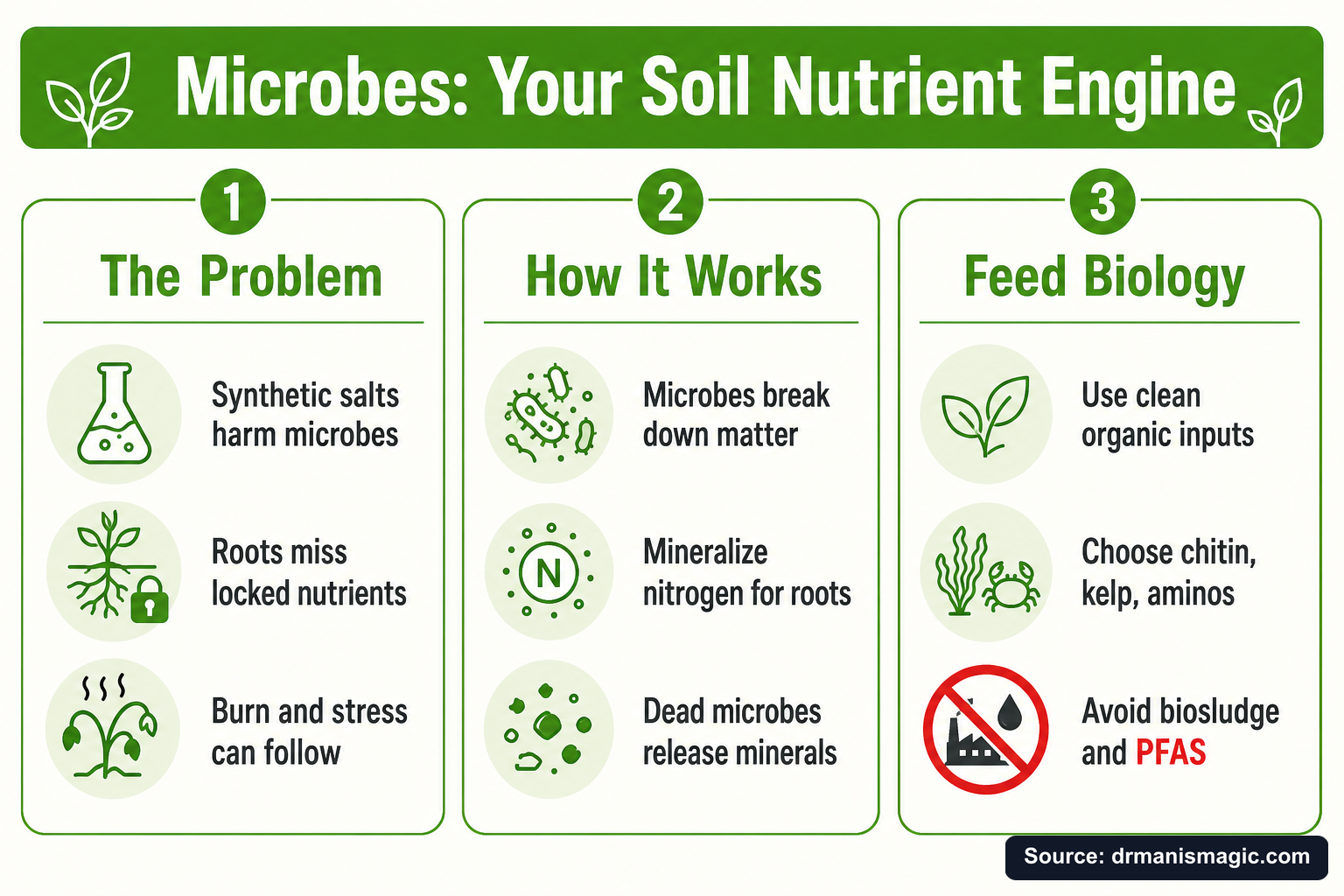 Microbes: Your Soil Nutrient Engine infographic