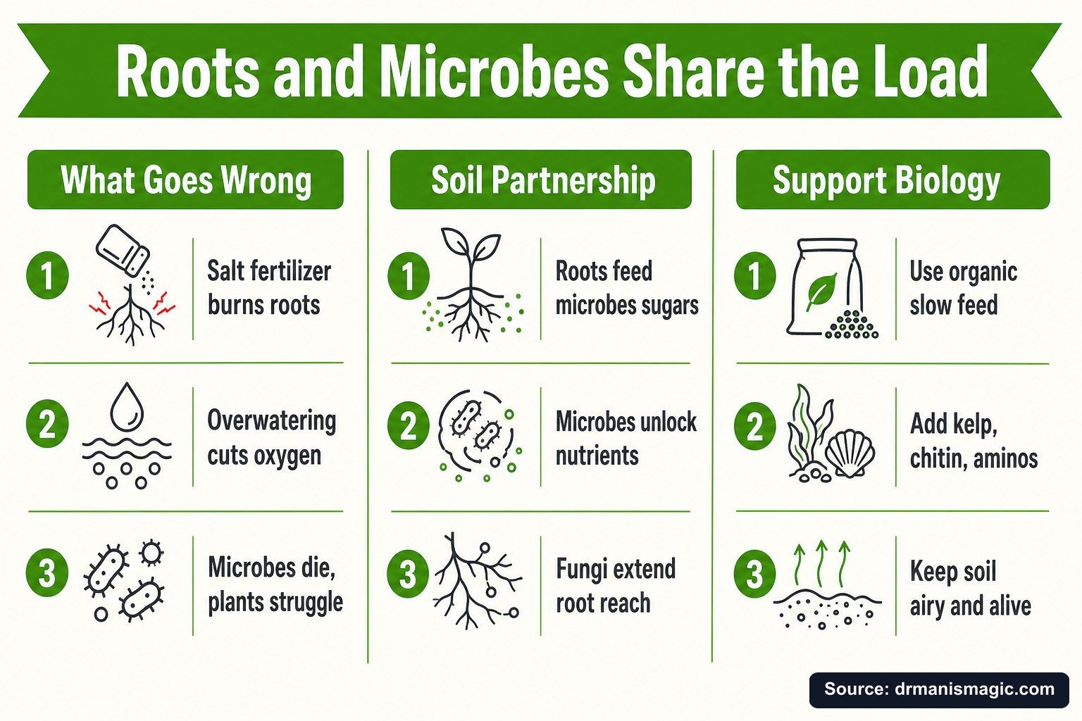 Roots and Microbes Share the Load infographic