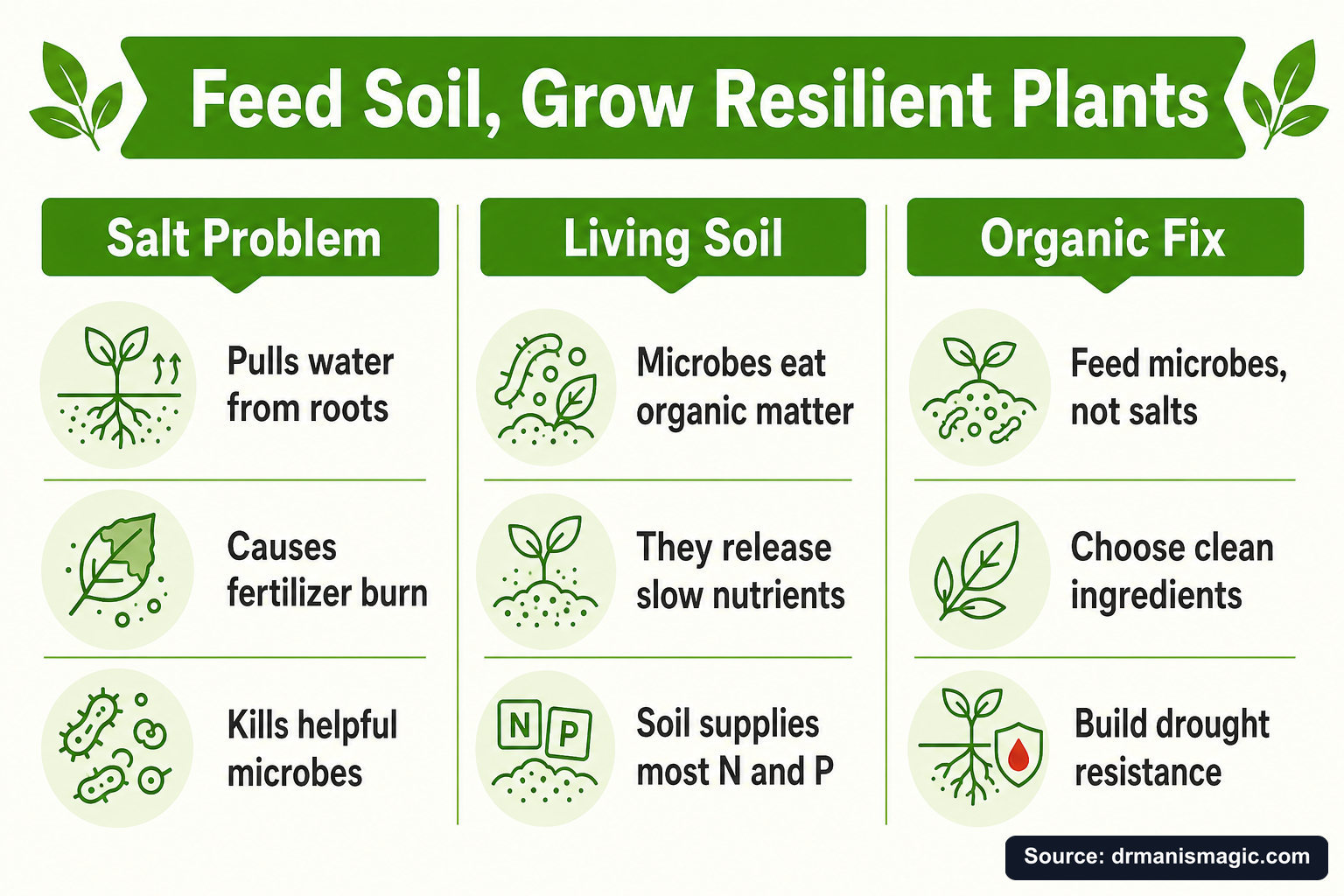 Feed Soil, Grow Resilient Plants infographic