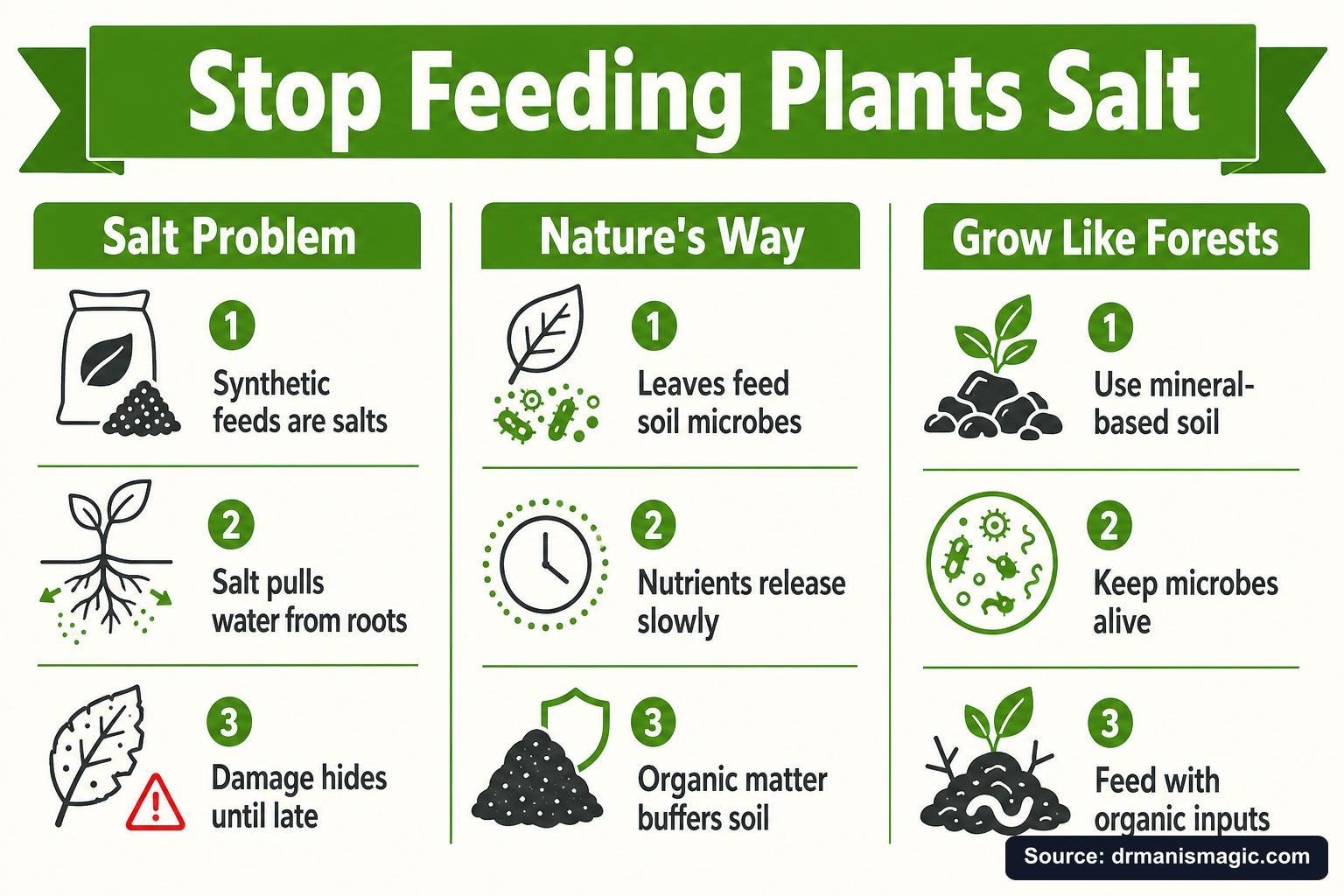 Stop Feeding Plants Salt infographic