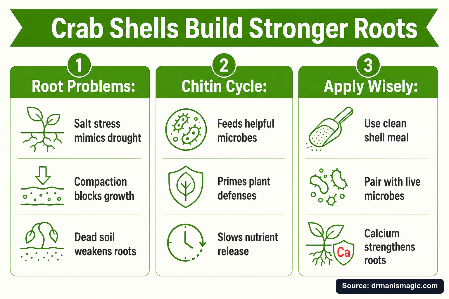 Crab Shells Build Stronger Roots infographic
