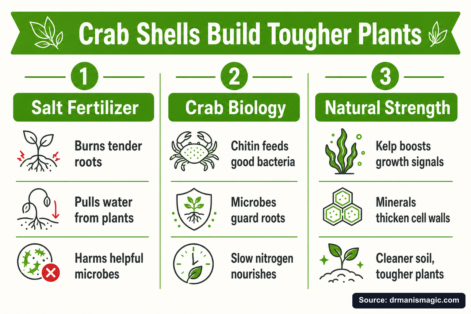Crab Shells Build Tougher Plants infographic
