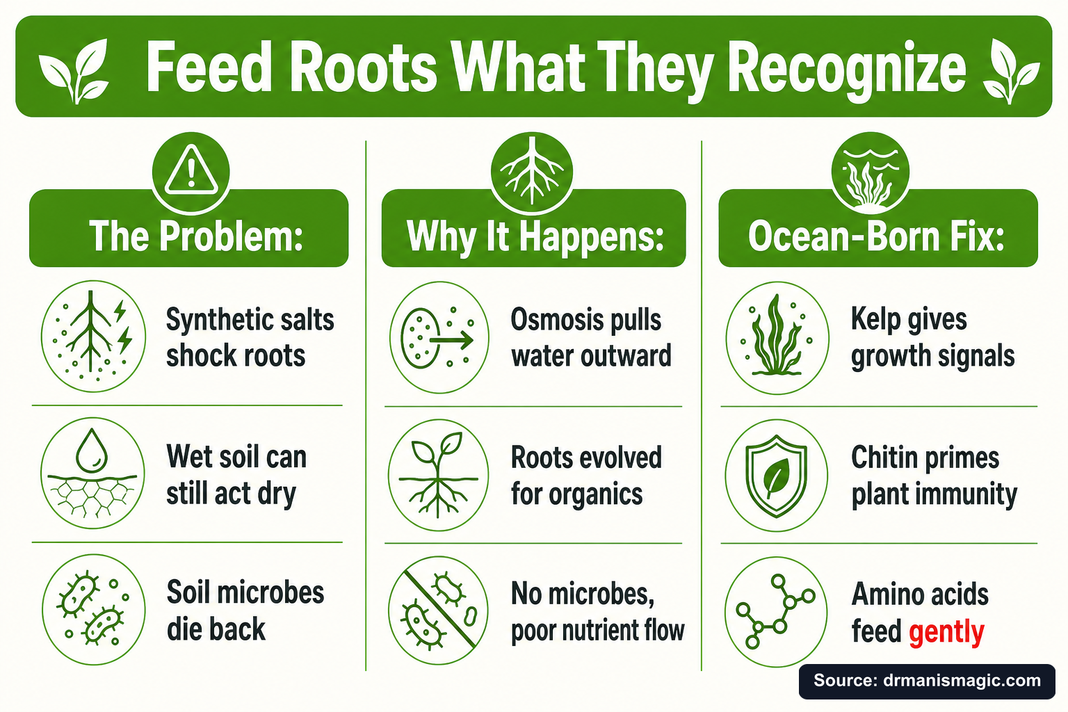 Feed Roots What They Recognize infographic