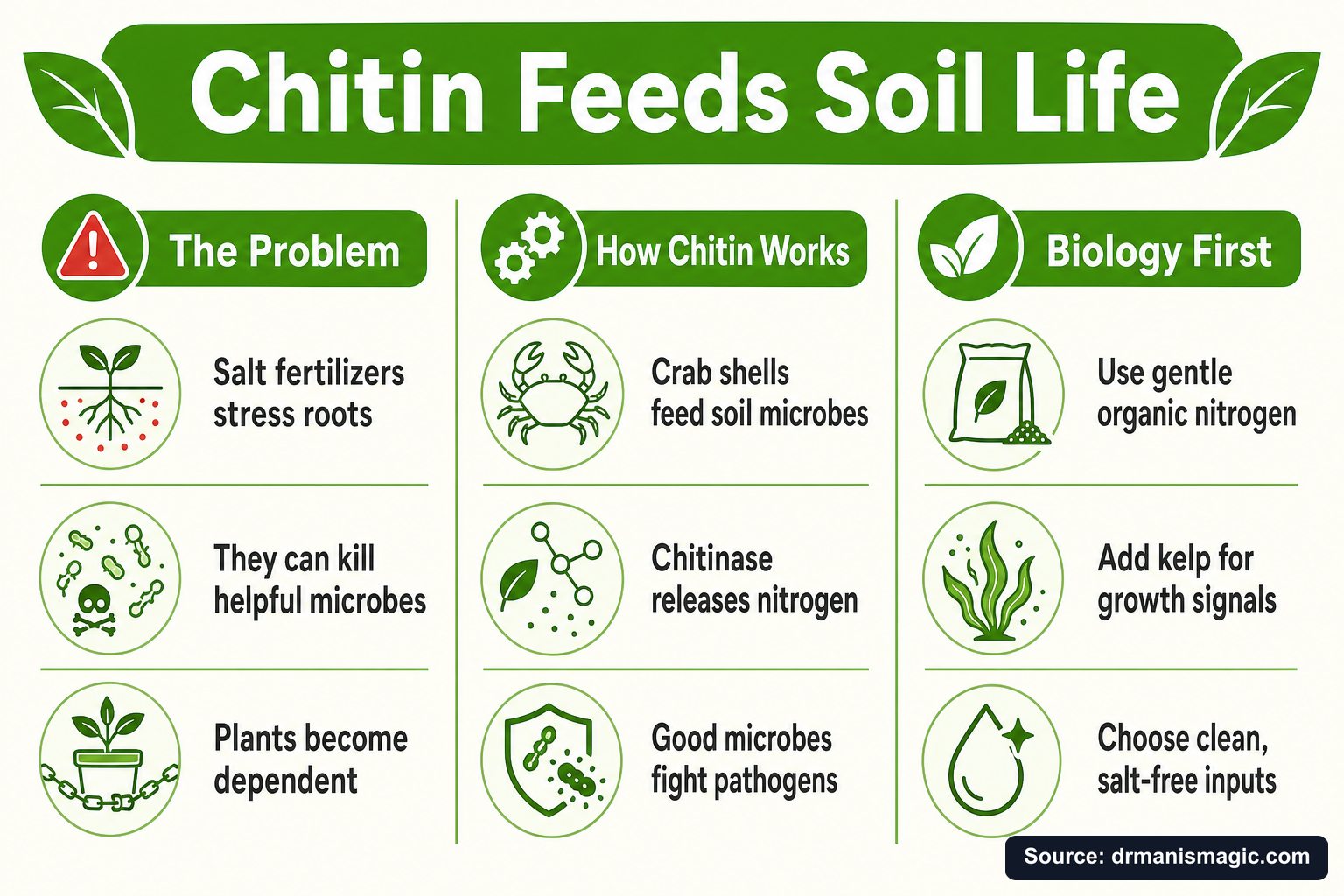 Chitin Feeds Soil Life infographic