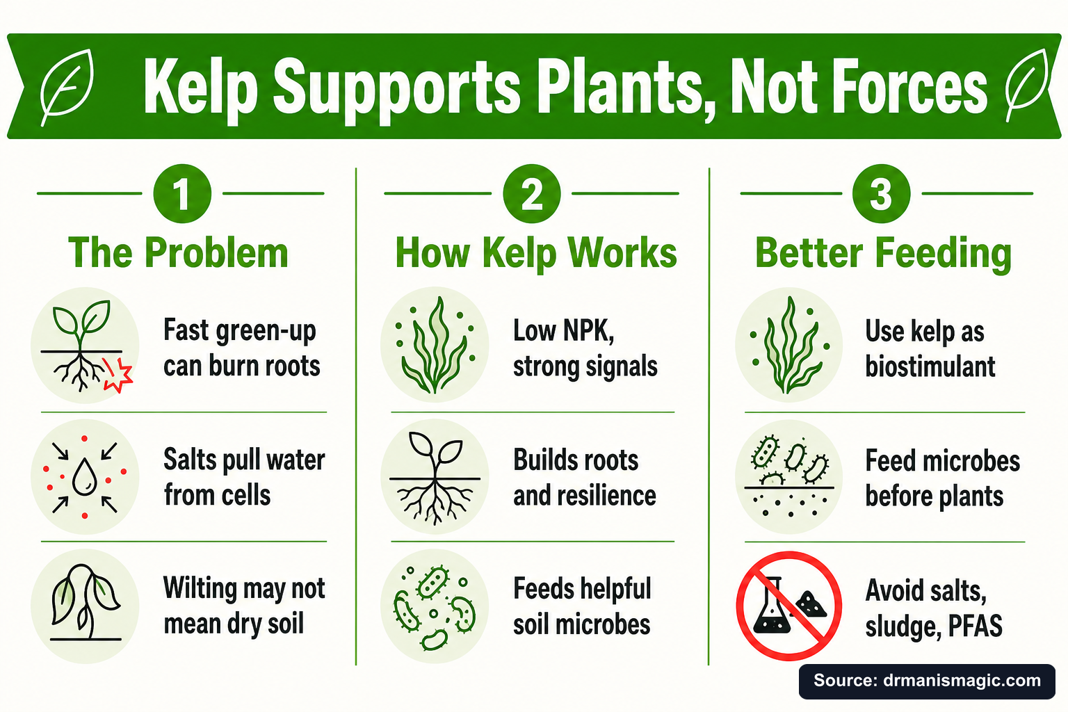 Kelp Supports Plants, Not Forces infographic