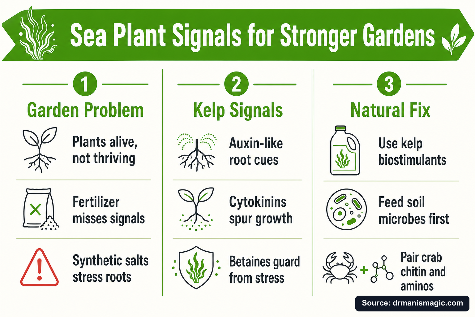 Sea Plant Signals for Stronger Gardens infographic