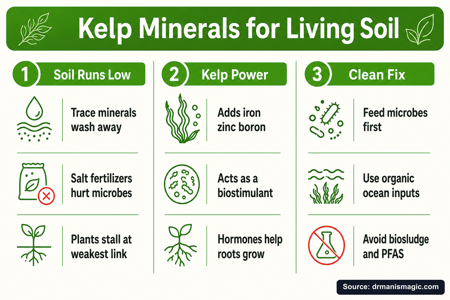 Kelp Minerals for Living Soil infographic