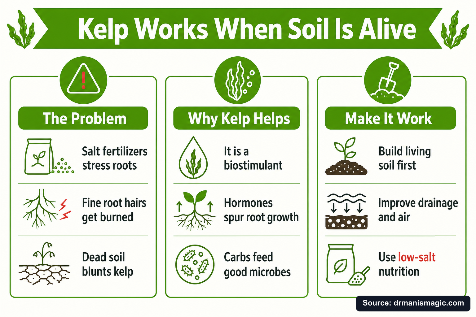 Kelp Works When Soil Is Alive infographic