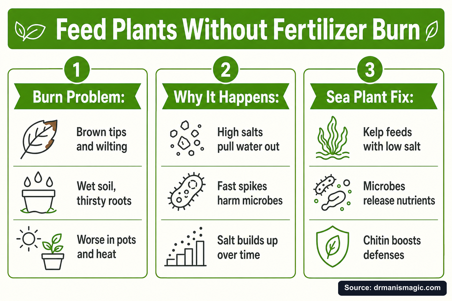 Feed Plants Without Fertilizer Burn infographic
