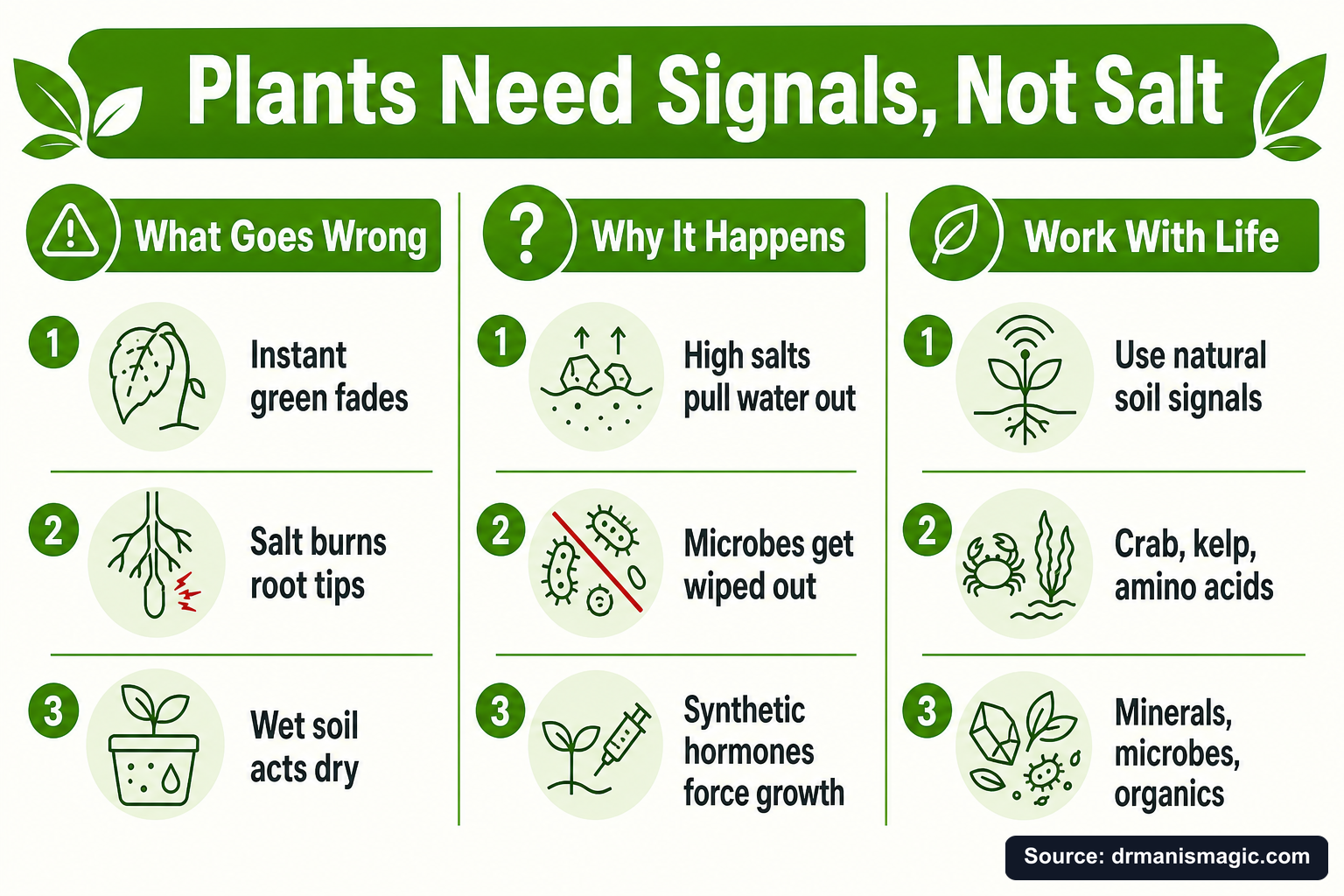 Plants Need Signals, Not Salt infographic