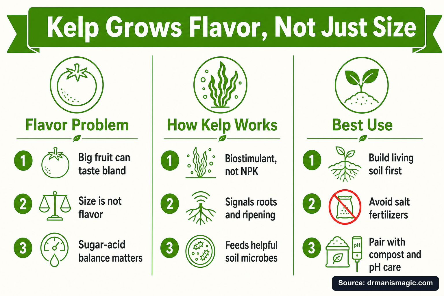 Kelp Grows Flavor, Not Just Size infographic