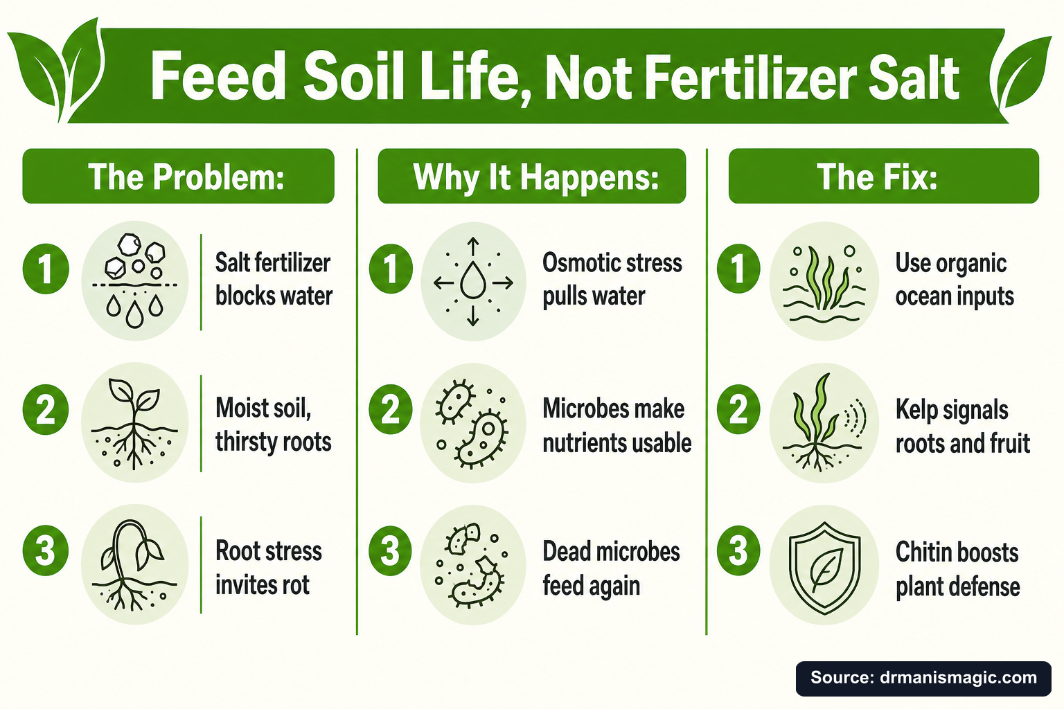 Feed Soil Life, Not Fertilizer Salt infographic