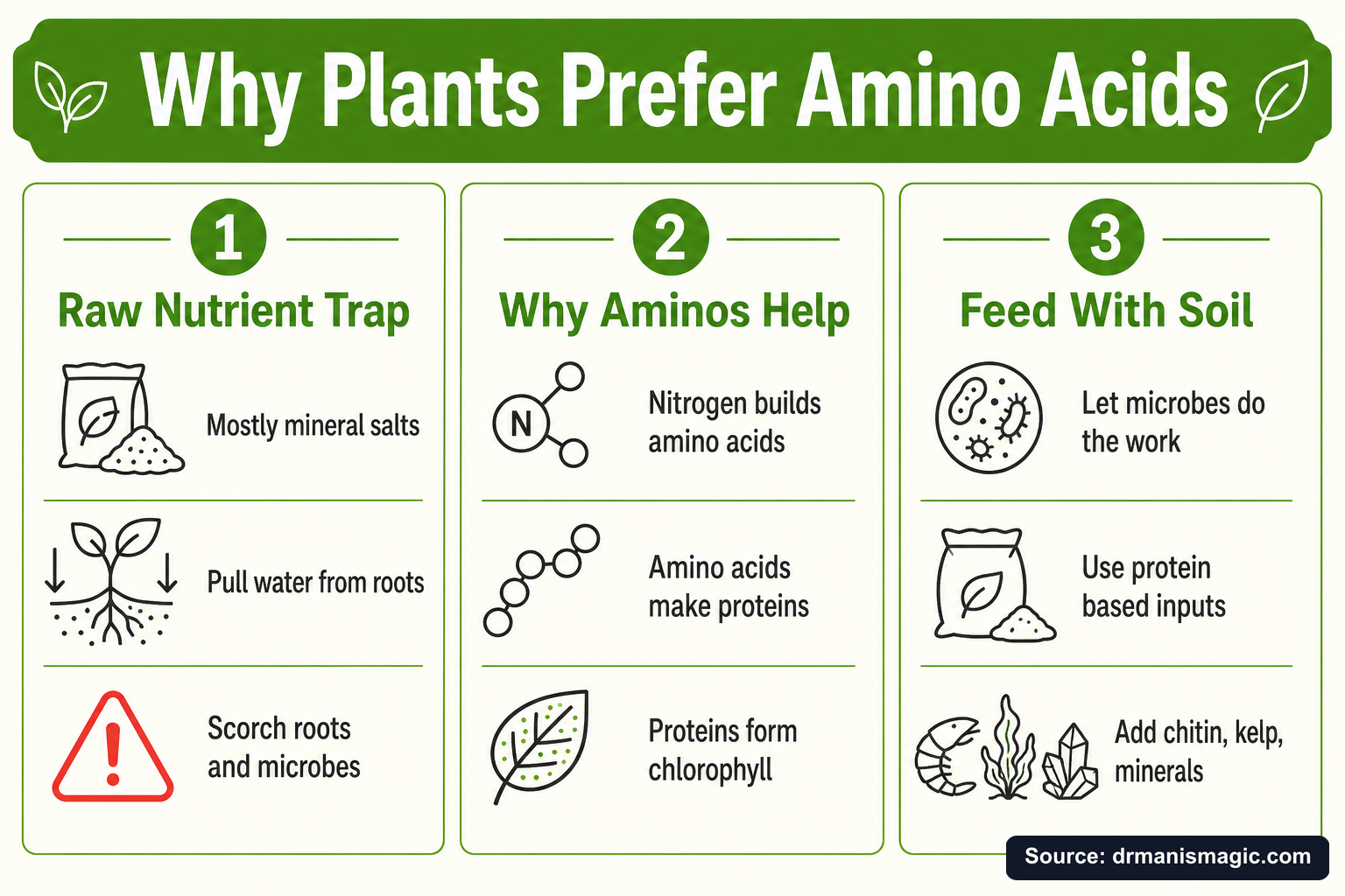 Why Plants Prefer Amino Acids infographic