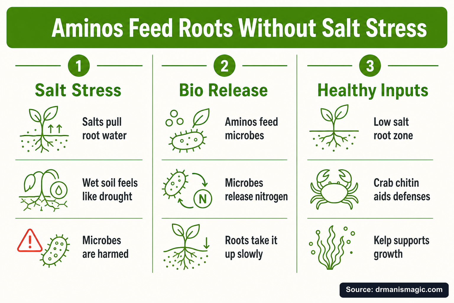 Aminos Feed Roots Without Salt Stress infographic