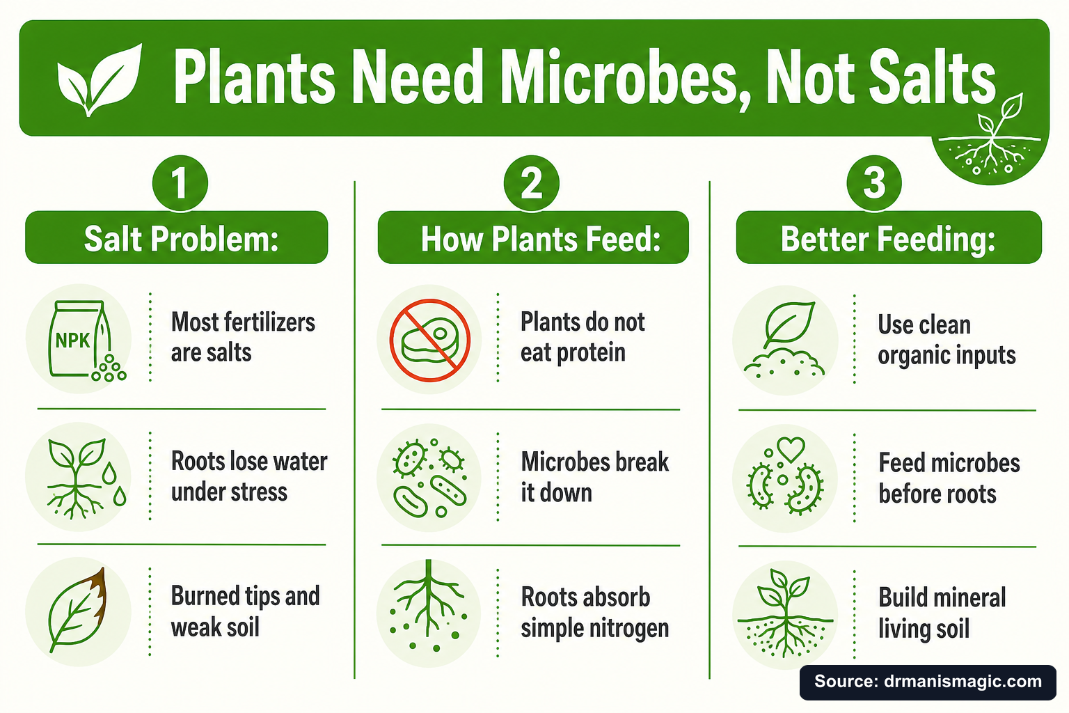 Plants Need Microbes, Not Salts infographic