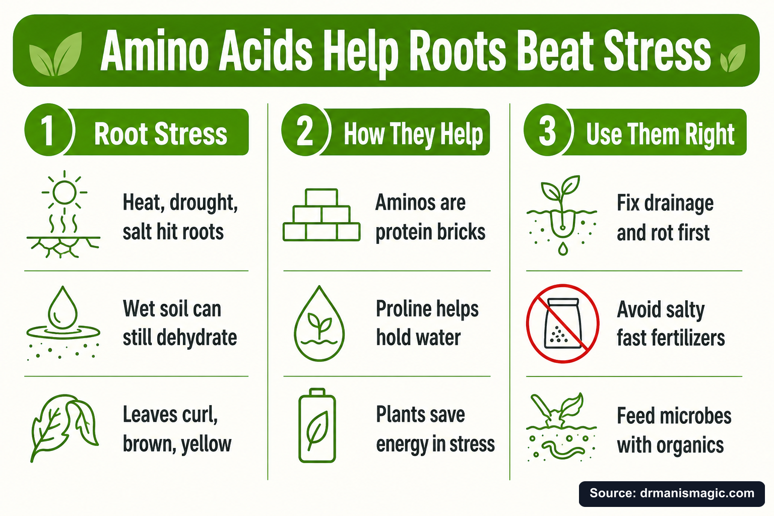 Amino Acids Help Roots Beat Stress infographic
