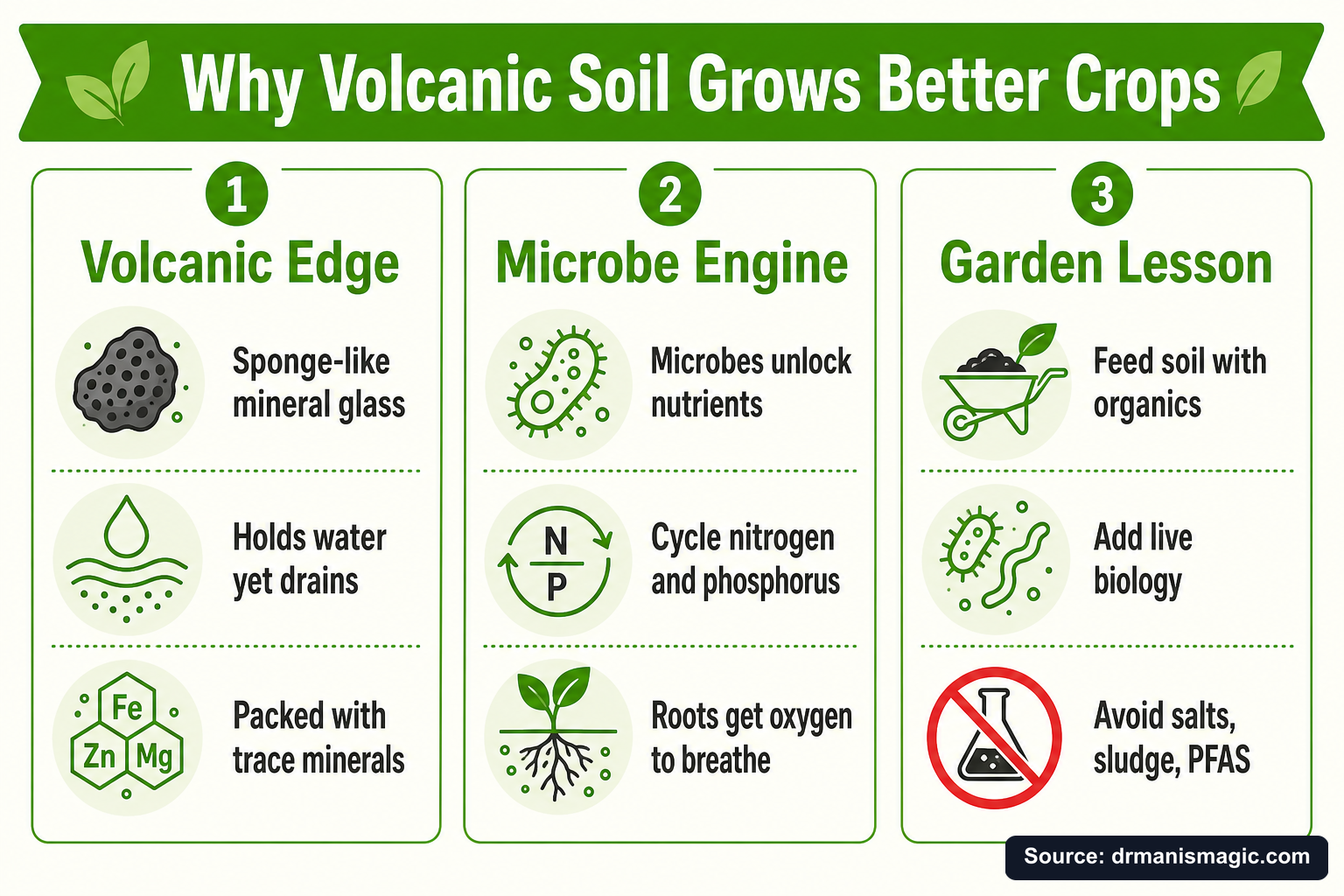 Why Volcanic Soil Grows Better Crops infographic