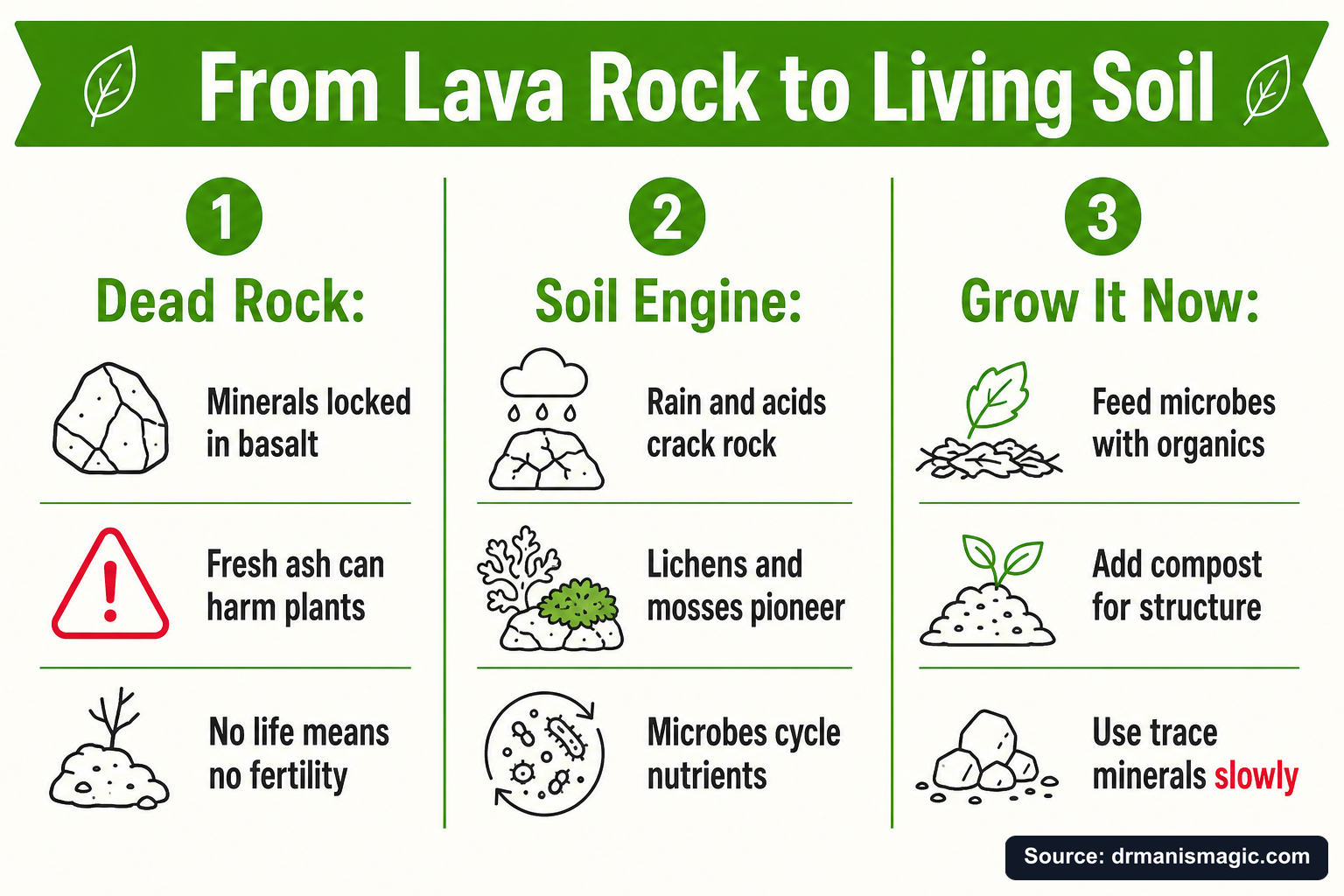 From Lava Rock to Living Soil infographic
