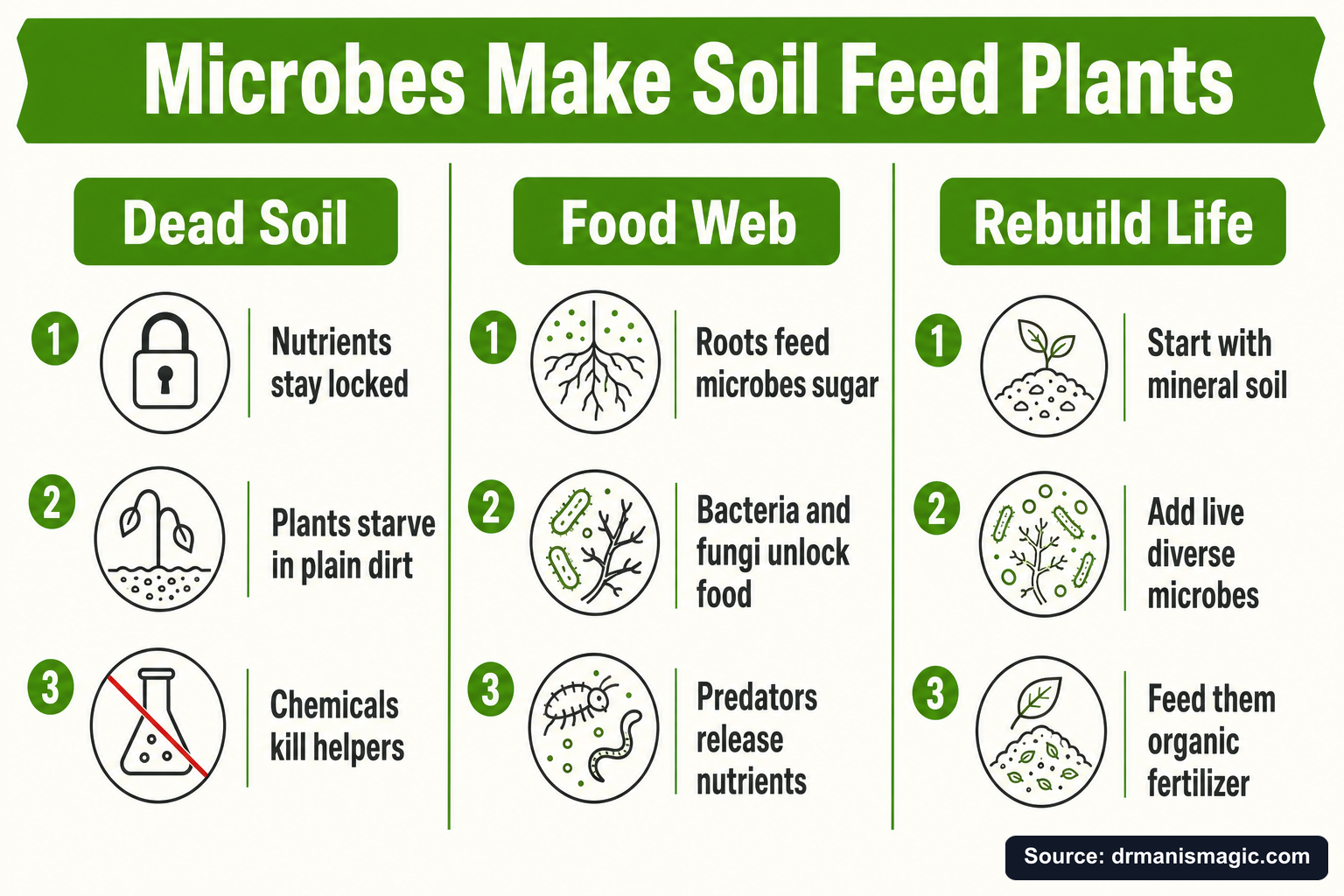 Microbes Make Soil Feed Plants infographic