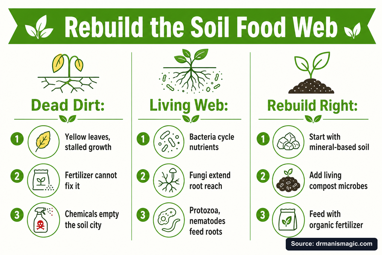 Rebuild the Soil Food Web infographic