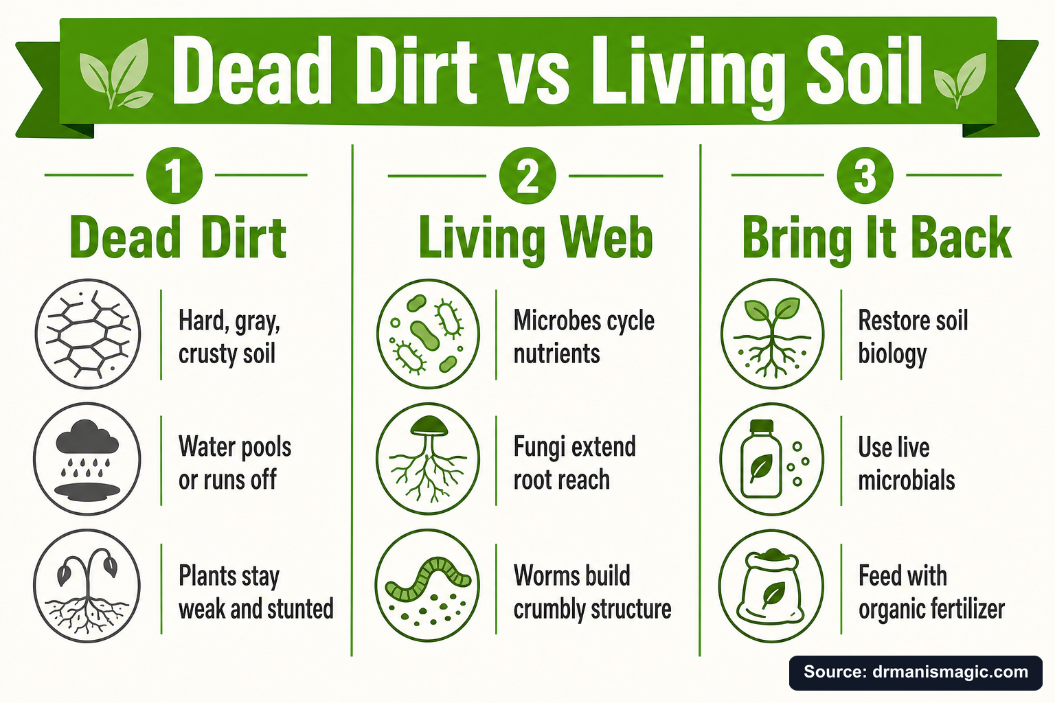 Dead Dirt vs Living Soil infographic