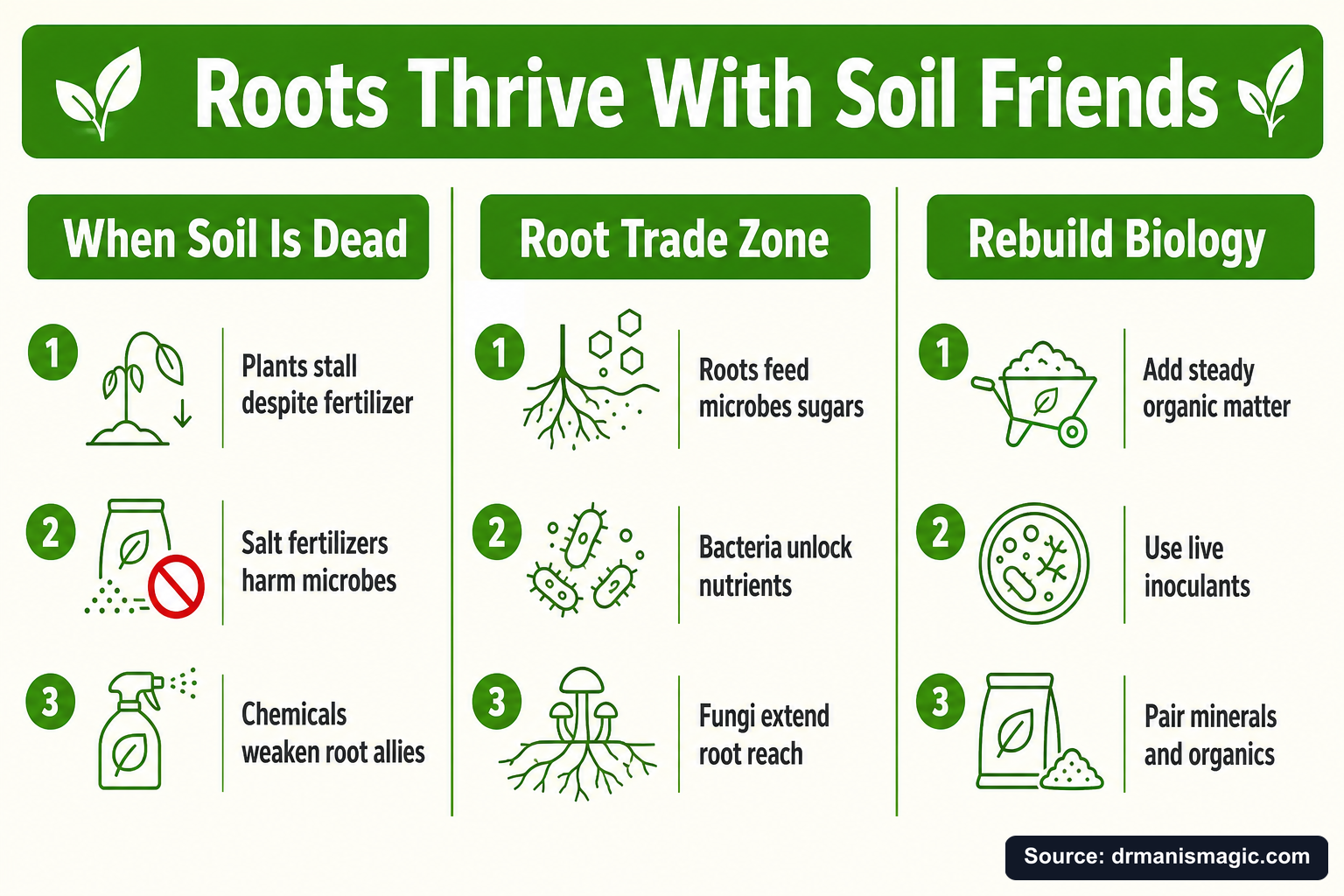 Roots Thrive With Soil Friends infographic