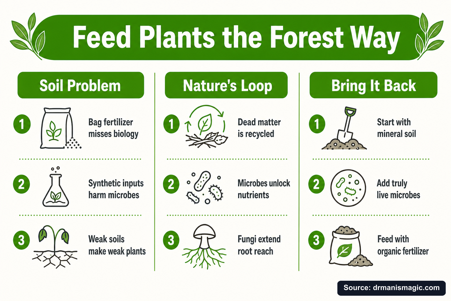 Feed Plants the Forest Way infographic