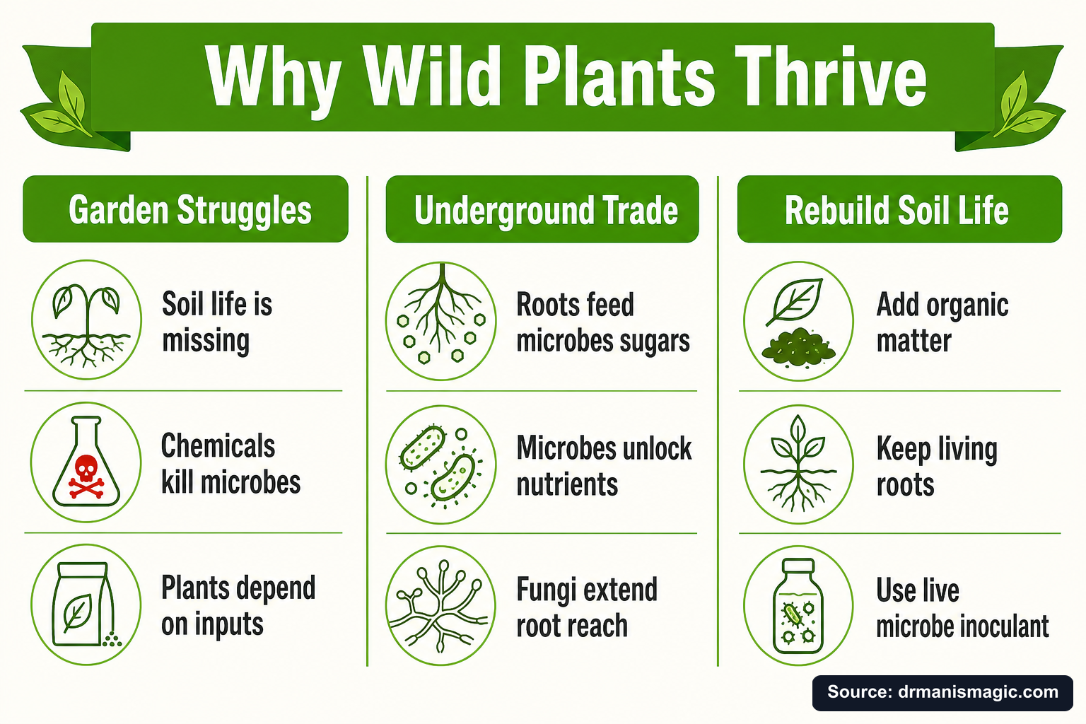 Why Wild Plants Thrive infographic