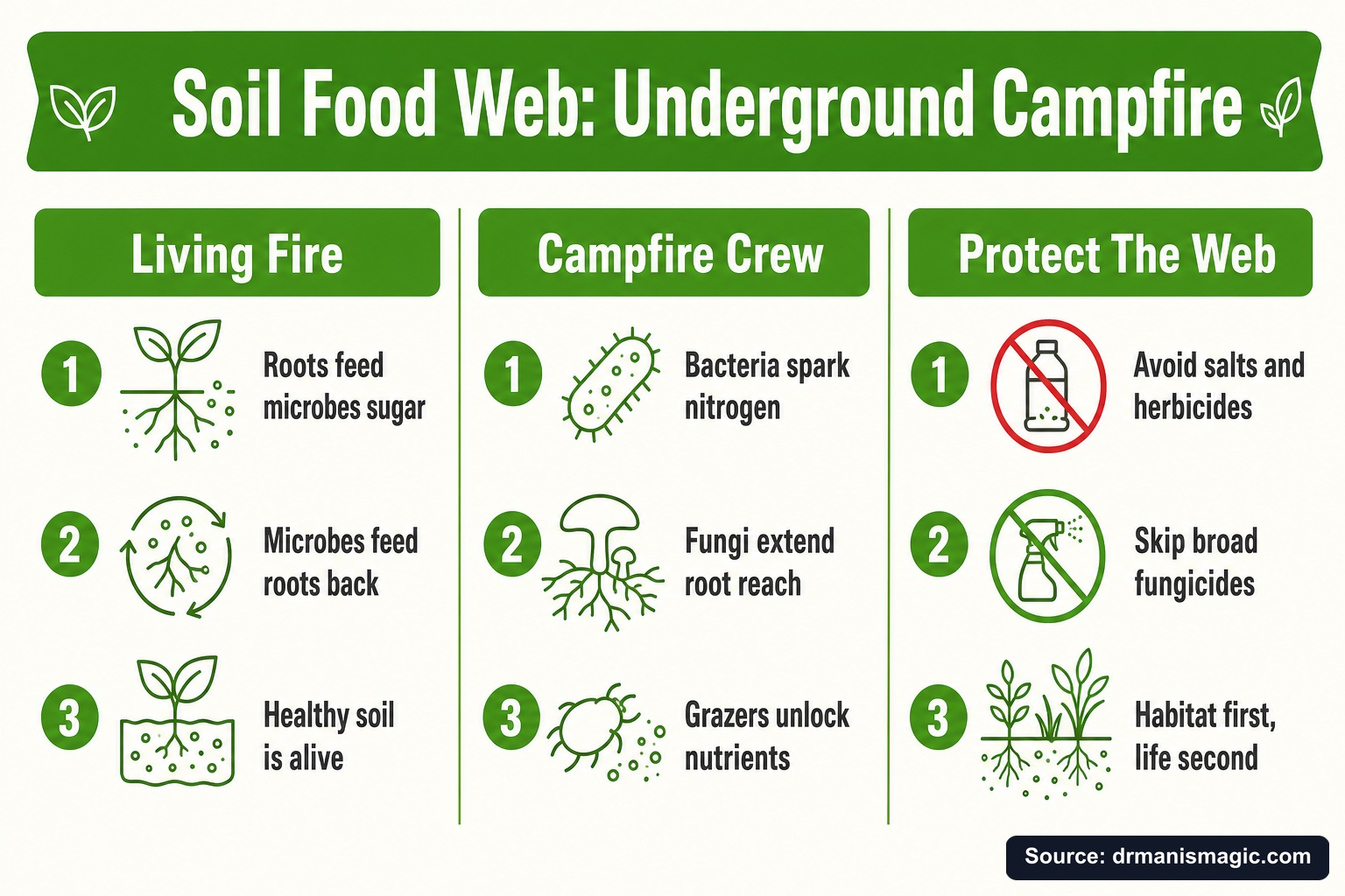 Soil Food Web: Underground Campfire infographic