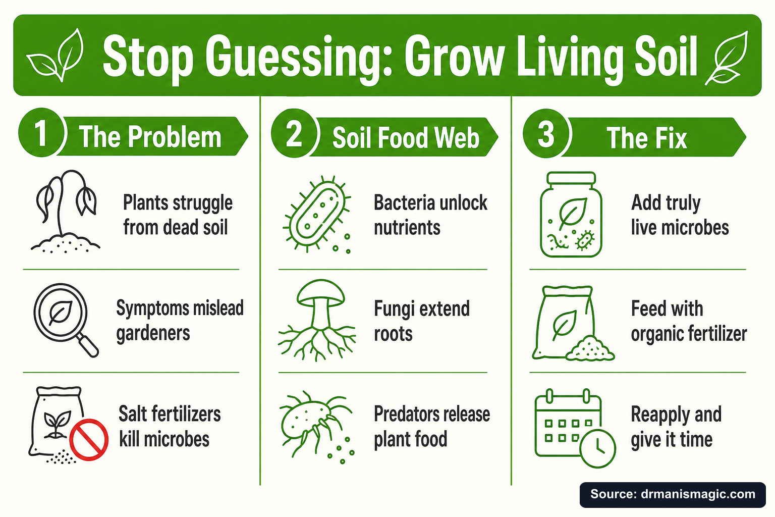 Stop Guessing: Grow Living Soil infographic
