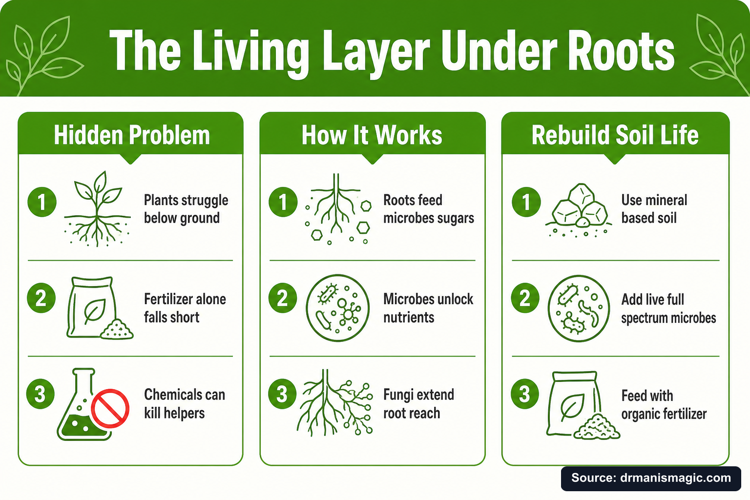 The Living Layer Under Roots infographic