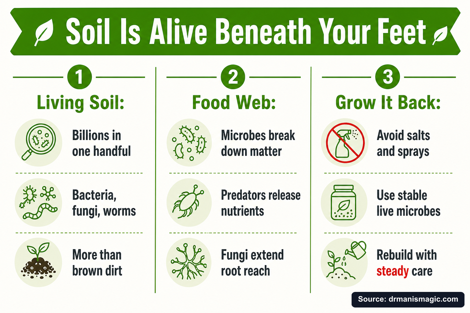 Soil Is Alive Beneath Your Feet infographic
