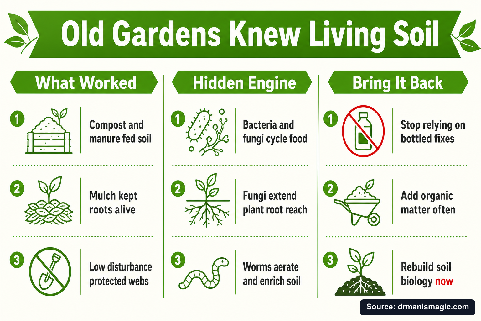 Old Gardens Knew Living Soil infographic