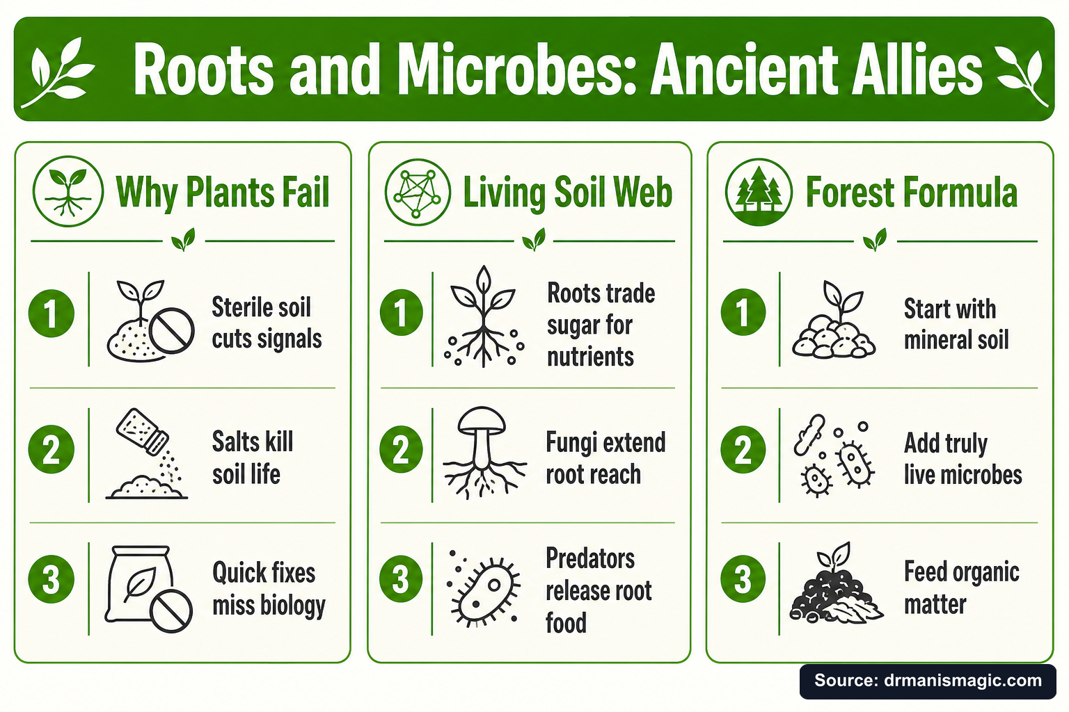 Roots and Microbes: Ancient Allies infographic