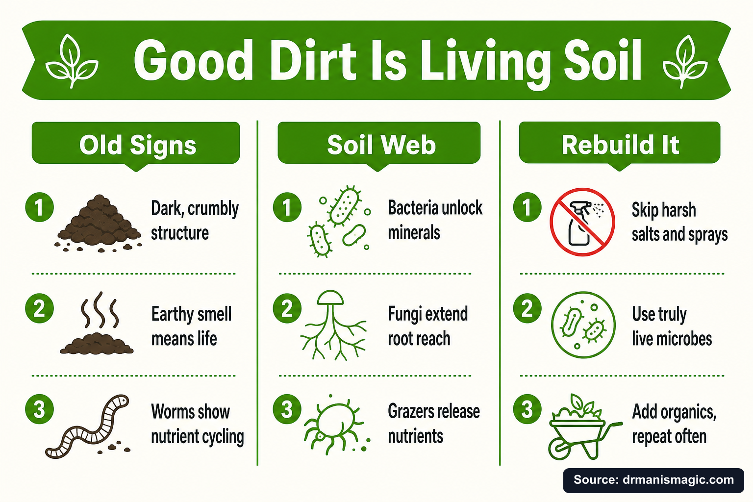 Good Dirt Is Living Soil infographic