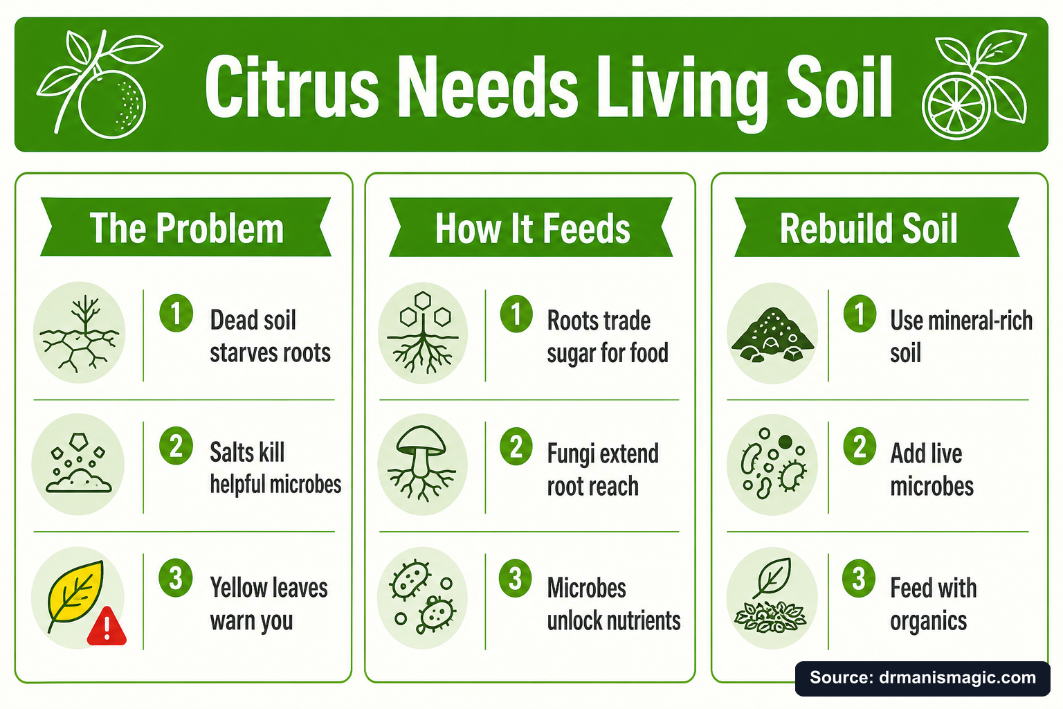 Citrus Needs Living Soil infographic