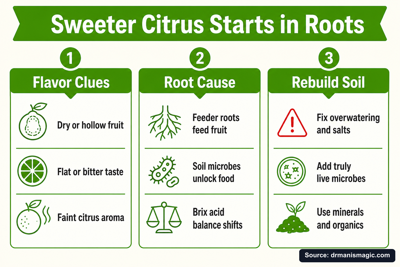 Sweeter Citrus Starts in Roots infographic