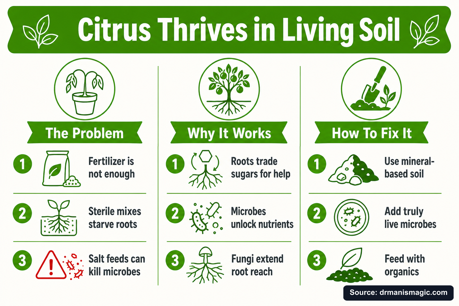 Citrus Thrives in Living Soil infographic